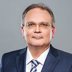 Prof. Dr. Frank Saliger